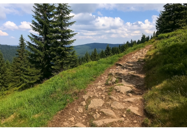 Morning Brew & Microservices: A Quiet Start to a Busy Week